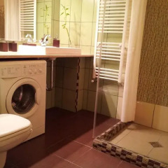 Отель Studio along the Danube Венгрия, Будапешт - отзывы, цены и фото номеров - забронировать отель Studio along the Danube онлайн ванная фото 2