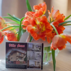 Отель Villa Anna интерьер отеля