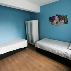 Van Backpackers Hostel Стандартный номер с двуспальной кроватью (общая ванная комната)