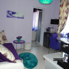 Апартаменты Orange Flower Apartments 1 комната для гостей фото 3