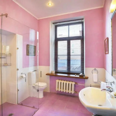 Гостиница Александр Хаус 4* Номер Делюкс с разными типами кроватей фото 25