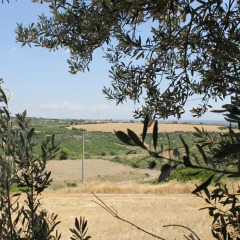 Отель Agriturismo La Collinetta Нова-Сири пляж