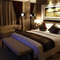 Vision Hotel 4* Представительский номер с различными типами кроватей фото 4