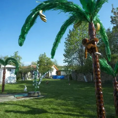 Отель Guest House Palms Боженци фото 11