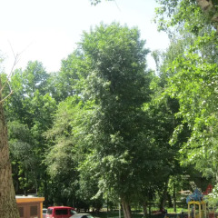 Double Plus Hostel Novoslobodskaya Кровать в мужском общем номере