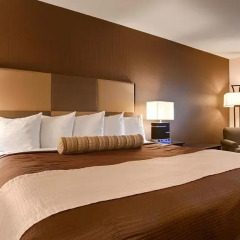 Отель Best Western Yuba City Inn 2* Стандартный номер с различными типами кроватей фото 4