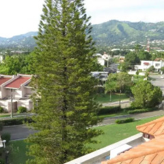 Отель Kingston Paradise Place Guesthouse Стандартный номер с различными типами кроватей фото 25