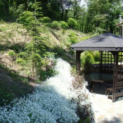 Park Hotel Asenevtsi & SPA Велико Тырново фото 3