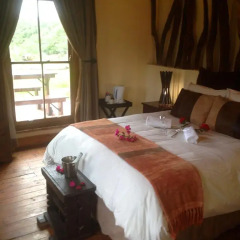 Отель Addo Bush Palace Private Reserve 4* Стандартный номер с различными типами кроватей фото 3