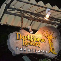 Отель Dark Horse Resort Yala спортивное сооружение