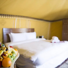 Отель Regency Sealine Camp Катар, Месайед - отзывы, цены и фото номеров - забронировать отель Regency Sealine Camp онлайн комната для гостей