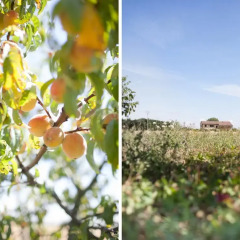 Отель Agriturismo Il Mondo Парма балкон