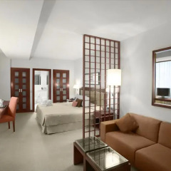 Hotel Nuevo Madrid 4* Полулюкс с различными типами кроватей