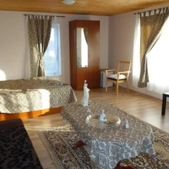 Гостиница Diana Guest House Стандартный номер разные типы кроватей фото 19