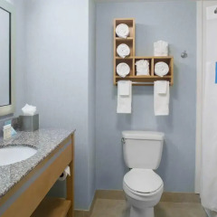 Отель Hampton Inn Suites Sarasota/Bradenton Airport 2* Студия с различными типами кроватей фото 4