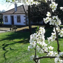 Отель Casas da Quinta da Cancela 3* Коттедж разные типы кроватей фото 8