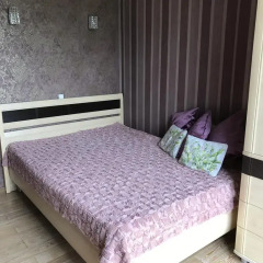 Гостиница Romanovskie Na Krasnoy Polyane в Красной Поляне отзывы, цены и фото номеров - забронировать гостиницу Romanovskie Na Krasnoy Polyane онлайн Красная Поляна комната для гостей фото 3