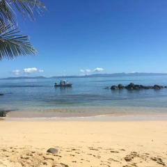 Отель Taveuni Palms Resort - All Inclusive Фиджи, Остров Тавеуни - отзывы, цены и фото номеров - забронировать отель Taveuni Palms Resort - All Inclusive онлайн пляж фото 2