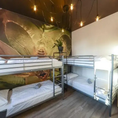 Elewator Gdansk Hostel Кровать в общем номере с двухъярусной кроватью фото 9