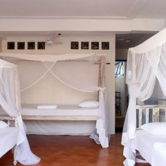 Pedlars Inn Hostel комната для гостей фото 2