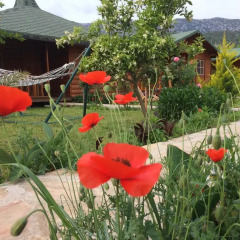 Отель Cirali Almira Bungalow фото 20