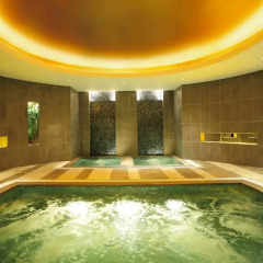 Отель Swissotel Grand Shanghai сауна