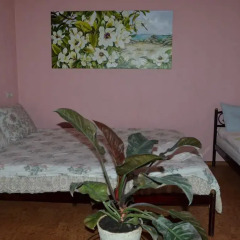 Гостиница Aparthotel Flora Украина, Харьков - отзывы, цены и фото номеров - забронировать гостиницу Aparthotel Flora онлайн комната для гостей фото 5