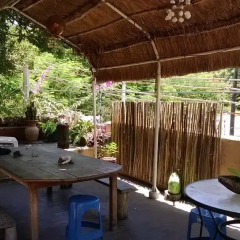 Отель Maya Cha'an Guesthouse Мексика, Канкун - отзывы, цены и фото номеров - забронировать отель Maya Cha'an Guesthouse онлайн питание фото 3