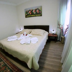 Selena Hotel 2* Номер категории Эконом фото 5