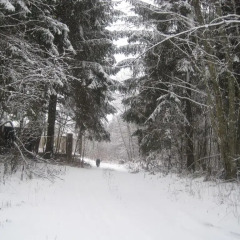 Гостиница Country house Runskiy спортивное сооружение