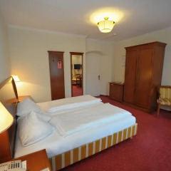 Hotel Goldener Löwe 3* Стандартный номер с различными типами кроватей фото 13