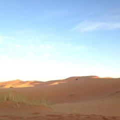Отель Camels House Марокко, Мерзуга - отзывы, цены и фото номеров - забронировать отель Camels House онлайн фото 9
