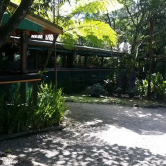 Отель Colo-I-Suva Rainforest Eco Resort 3* Стандартный номер фото 16