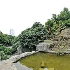 Отель Li Yuan Shenzhen Шэньчжэнь