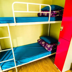 Kimchee Sinchon Guesthouse - Hostel Кровать в женском общем номере с двухъярусной кроватью фото 8