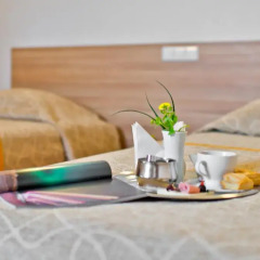 Green Vilnius Hotel Вильнюс в номере
