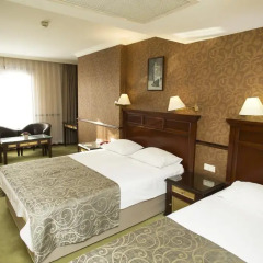 Topkapi Inter Istanbul Hotel 4* Стандартный номер с различными типами кроватей фото 28