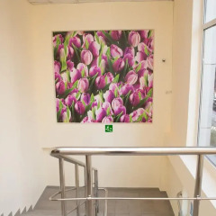 Roofhotel Sochi Hostel интерьер отеля