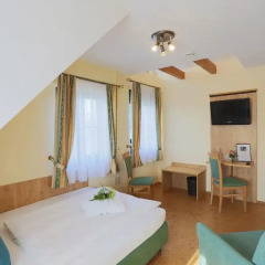 Отель Ringhotel Villa Moritz 3* Номер Комфорт с различными типами кроватей фото 11