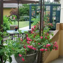 Отель Fraser Riverview Holiday Apartment Канада, Мэйпл-Ридж - отзывы, цены и фото номеров - забронировать отель Fraser Riverview Holiday Apartment онлайн фото 22