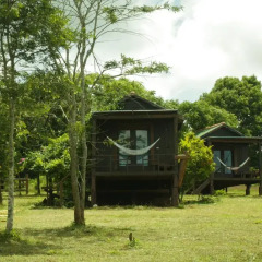 Отель Nature Lodge 2* Бунгало с различными типами кроватей фото 25