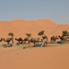 Отель Maroc Galacx Марокко, Уарзазат - отзывы, цены и фото номеров - забронировать отель Maroc Galacx онлайн пляж фото 2