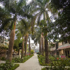 Отель Sauraha Boutique Resort Непал, Саураха - отзывы, цены и фото номеров - забронировать отель Sauraha Boutique Resort онлайн фото 7