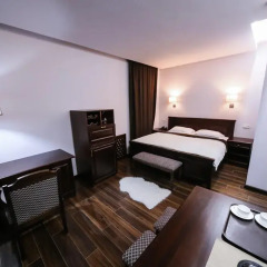 Hotel Dvin Стандартный номер с разными типами кроватей фото 5