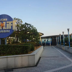 Hotel Won