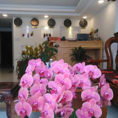 Da Lat Lanani Hotel Далат интерьер отеля фото 2