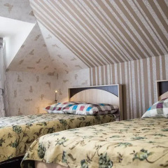 Гостиница Золотой лев 2* Стандартный номер с различными типами кроватей