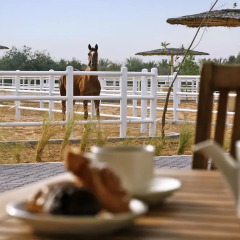 Отель Anantara Al Sahel Villa Resort фото 4