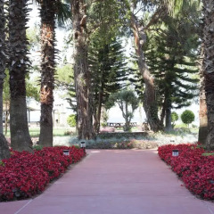 Отель Rixos Beldibi - All Inclusive фото 8