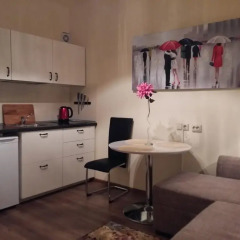 Отель Studio in The Vilnius Old Town Литва, Вильнюс - отзывы, цены и фото номеров - забронировать отель Studio in The Vilnius Old Town онлайн в номере